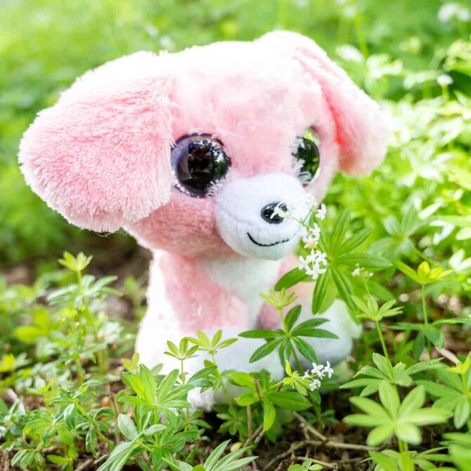 Koira Pinky - Lumo Stars - Image 2