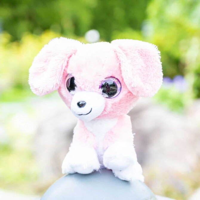 Koira Pinky - Lumo Stars - Image 3