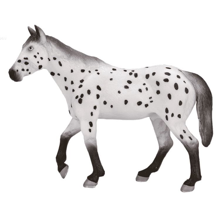 Appaloosa, ori - Mojo