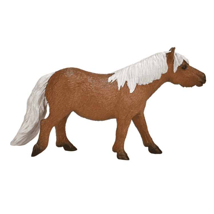 Shetlanninponi - Mojo