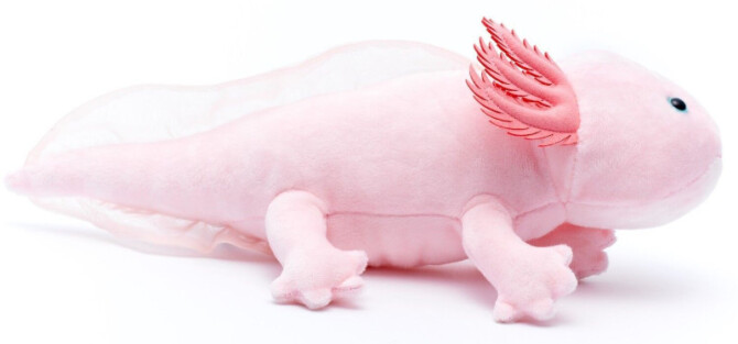 Aksolotli pehmolelu - Uni Toys - Image 2